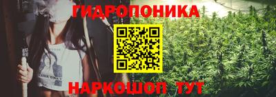 не бодяженный Можга