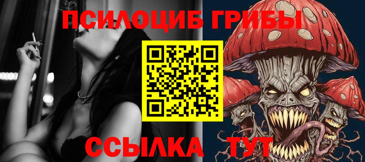 Галлюциногенные грибы Psilocybine cubensis Тюмень
