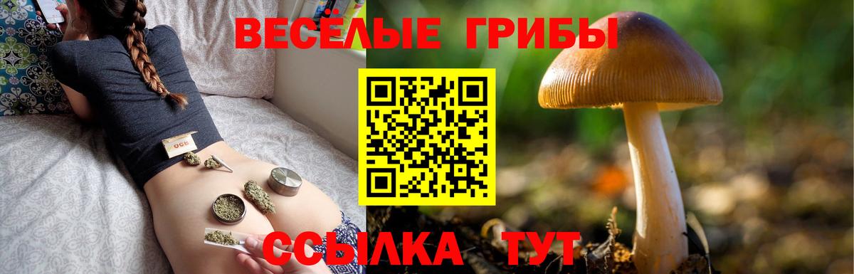 дарнет шоп  Тюмень  Галлюциногенные грибы Magic Shrooms 